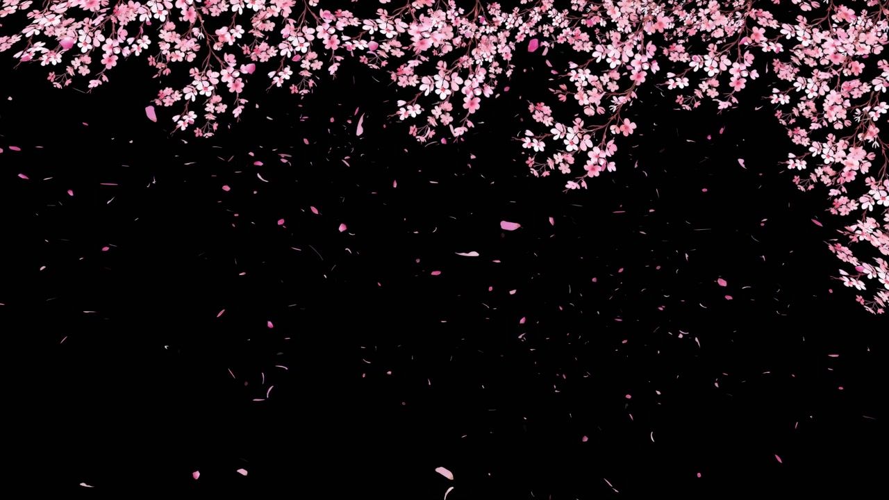 樱花-樱花飘落预览图